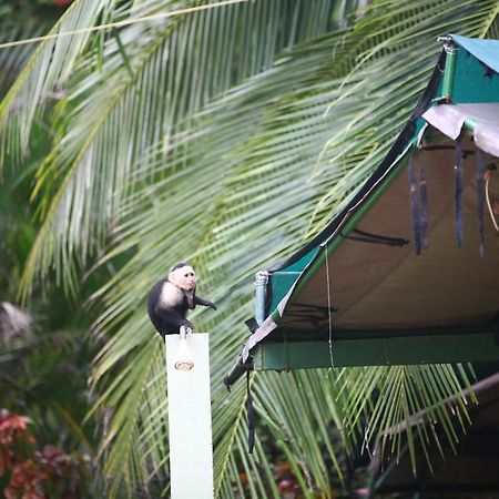 Rafiki Beach Camp Matapalo  Exterior photo