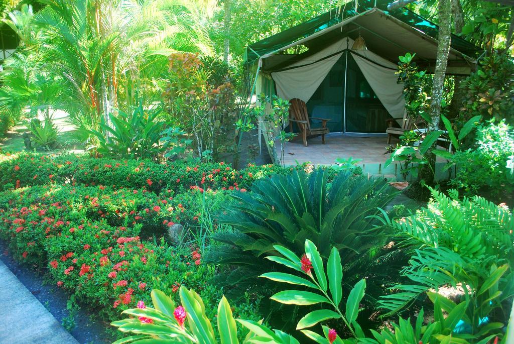 Rafiki Beach Camp Matapalo  Room photo