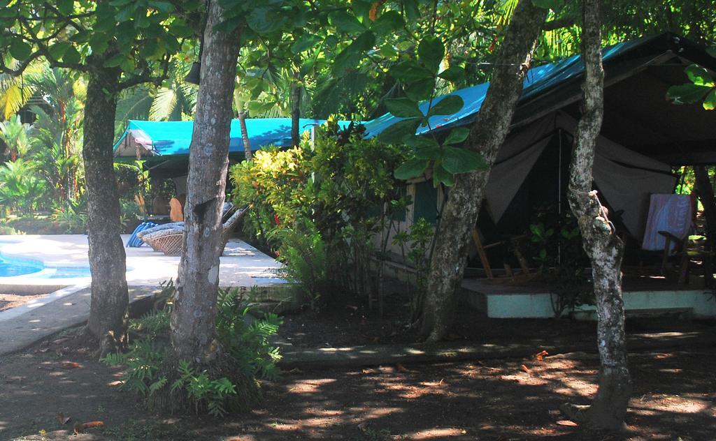 Rafiki Beach Camp Matapalo  Room photo